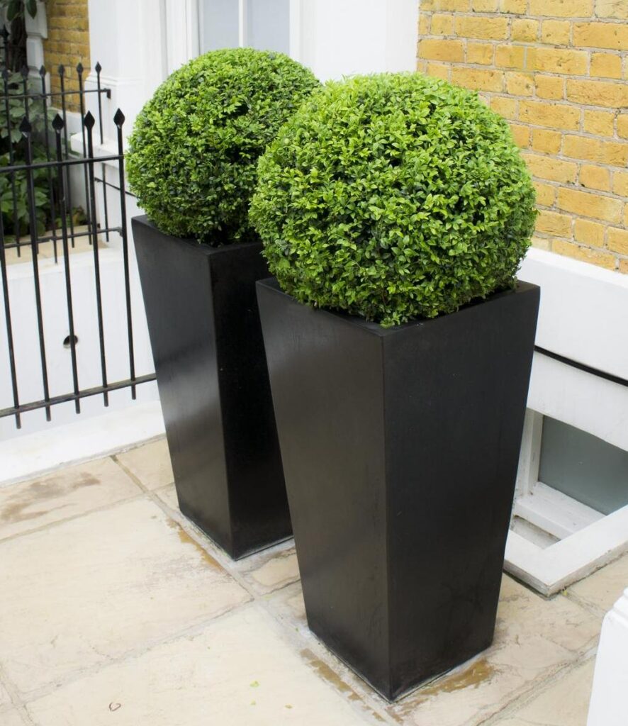 Tapered Square Planter